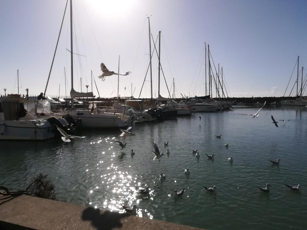 فندق Blue Marine Di Ostia المظهر الخارجي الصورة